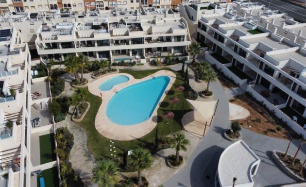 apartment - Odsprzedaż - Torrevieja - Torrevieja