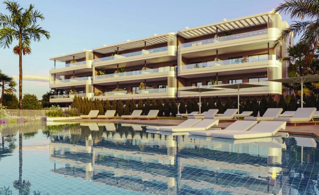 Ático - Obra nueva - Torrevieja - Torrevieja