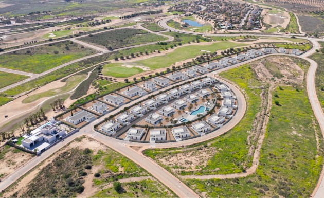 detached - Nouvelle construction - Fuente Alamo - NB-46436