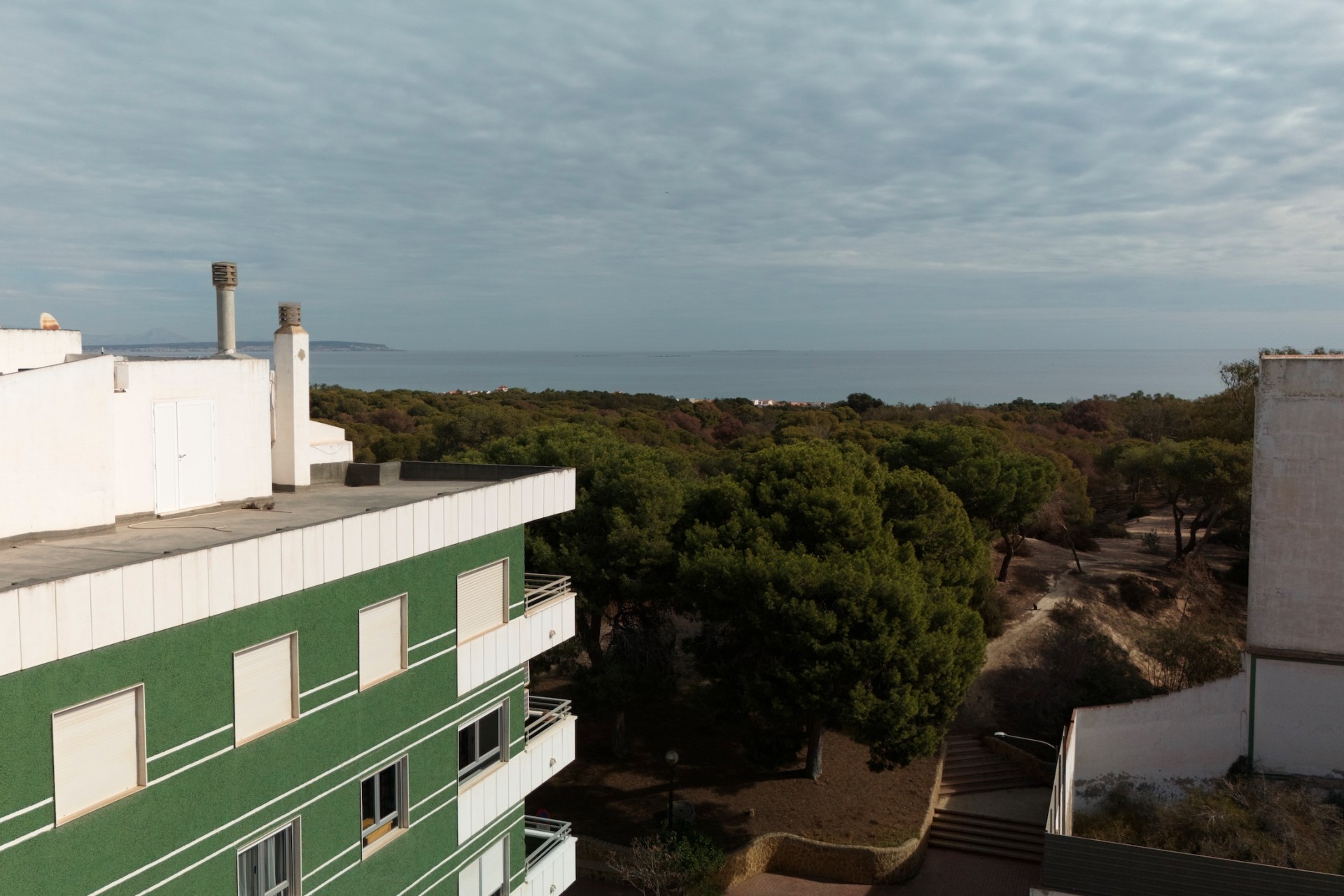 New Build - apartment - Guardamar del Segura