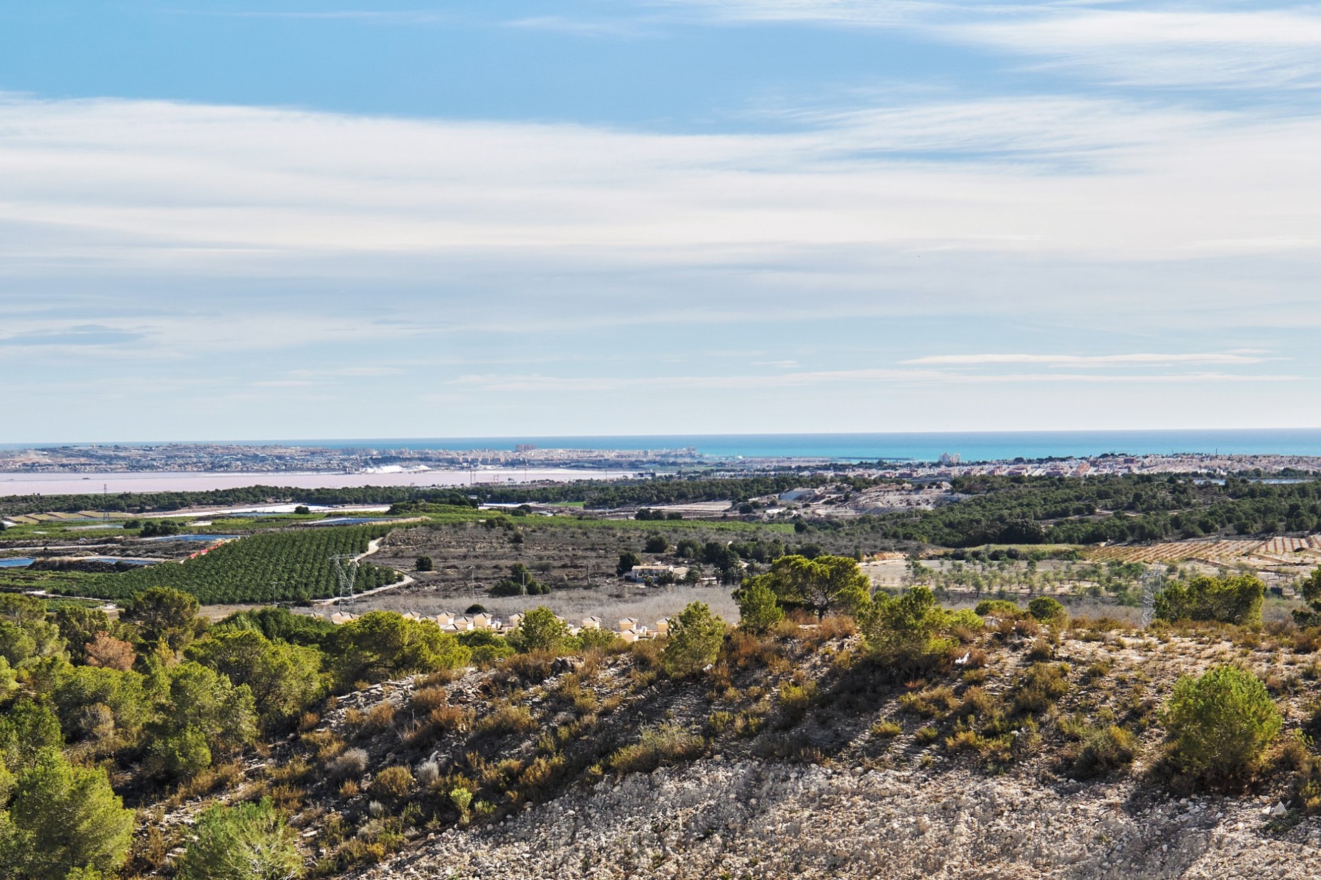 New Build - detached - San Miguel de Salinas