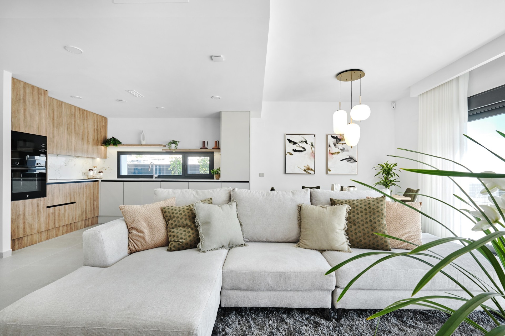 New Build - detached - San Miguel de Salinas