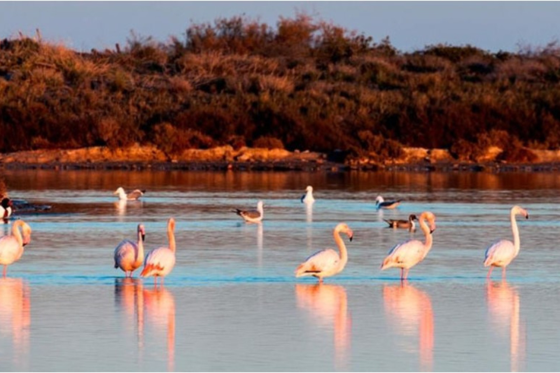 New Build - detached - San Pedro del Pinatar