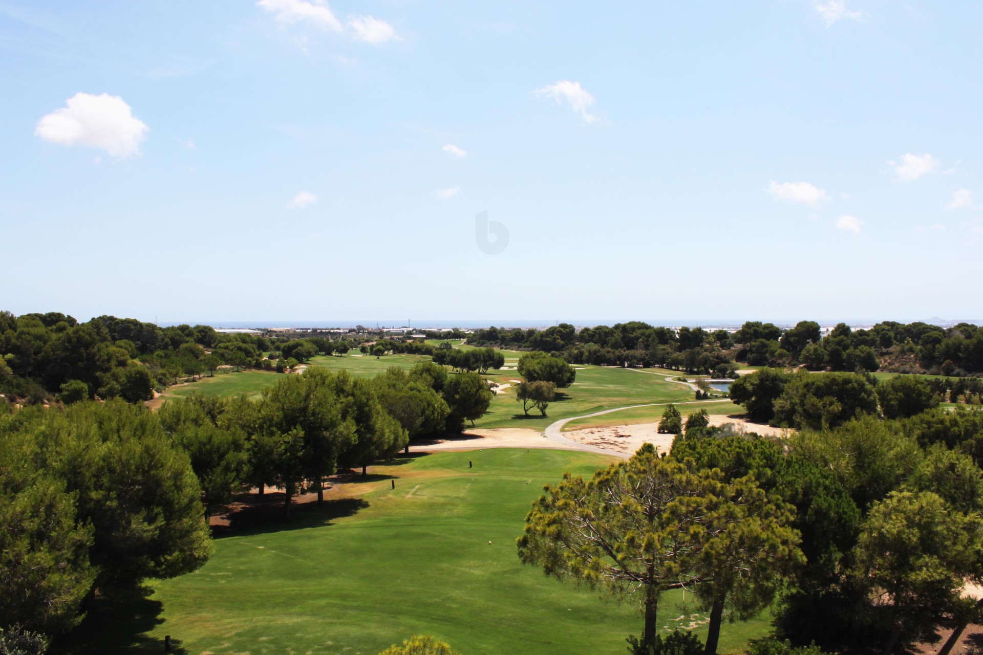 New Build - ground-floor - Pinar de Campoverde