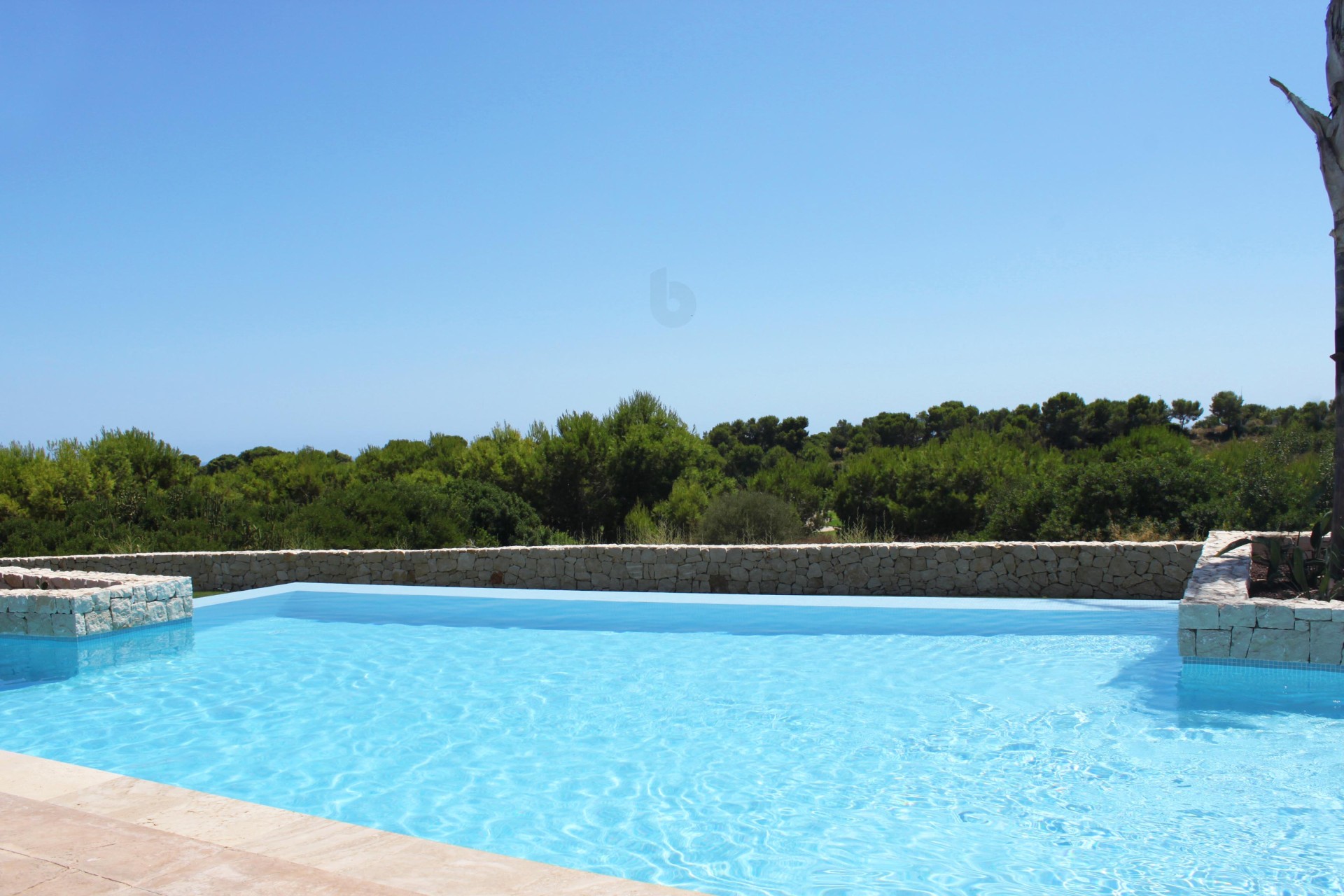New Build - ground-floor - Pinar de Campoverde