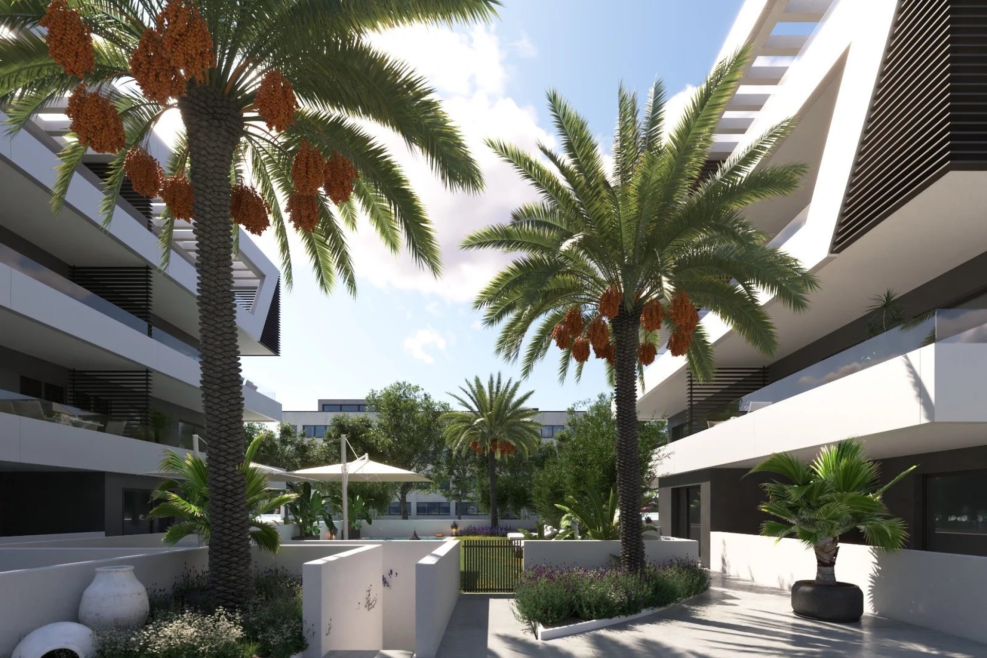 New Build - ground-floor - San Juan de Alicante