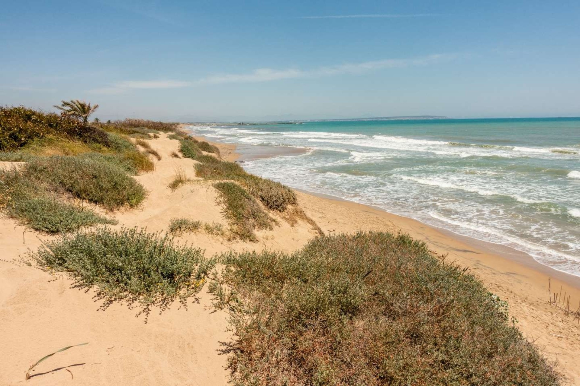 Nouvelle construction - apartment - Guardamar del Segura