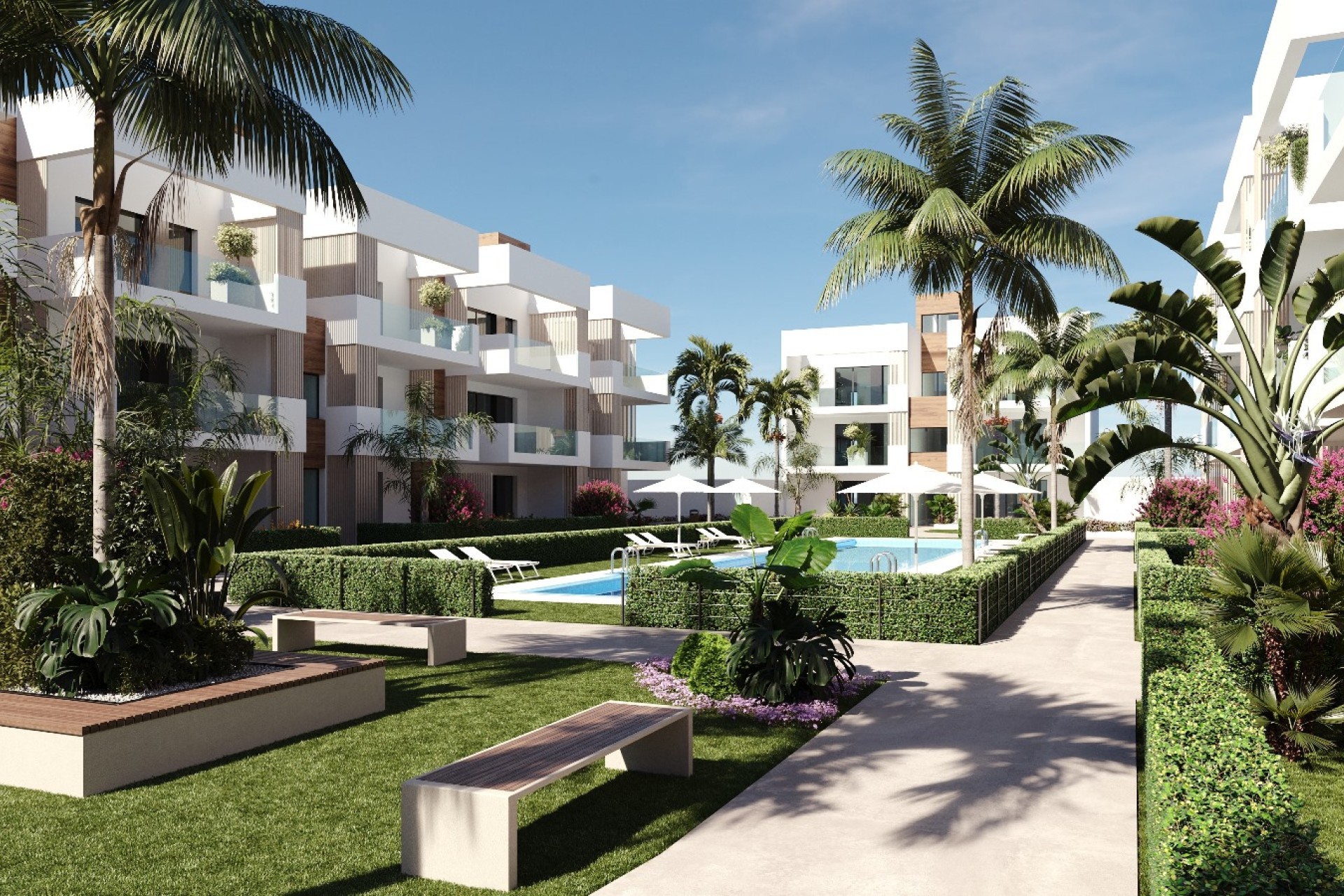 Nouvelle construction - apartment - San Pedro del Pinatar