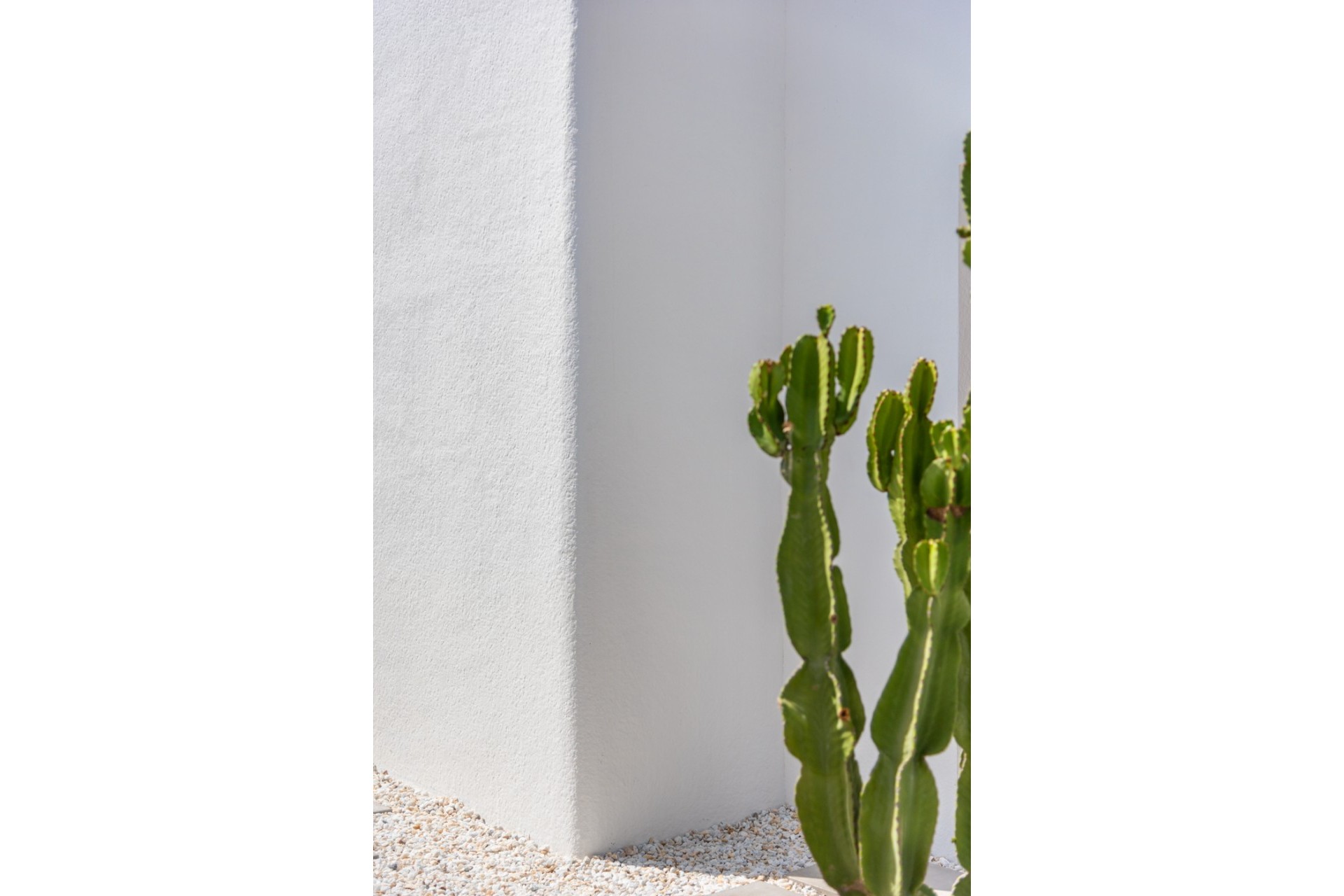 Nouvelle construction - detached - Los Alcázares