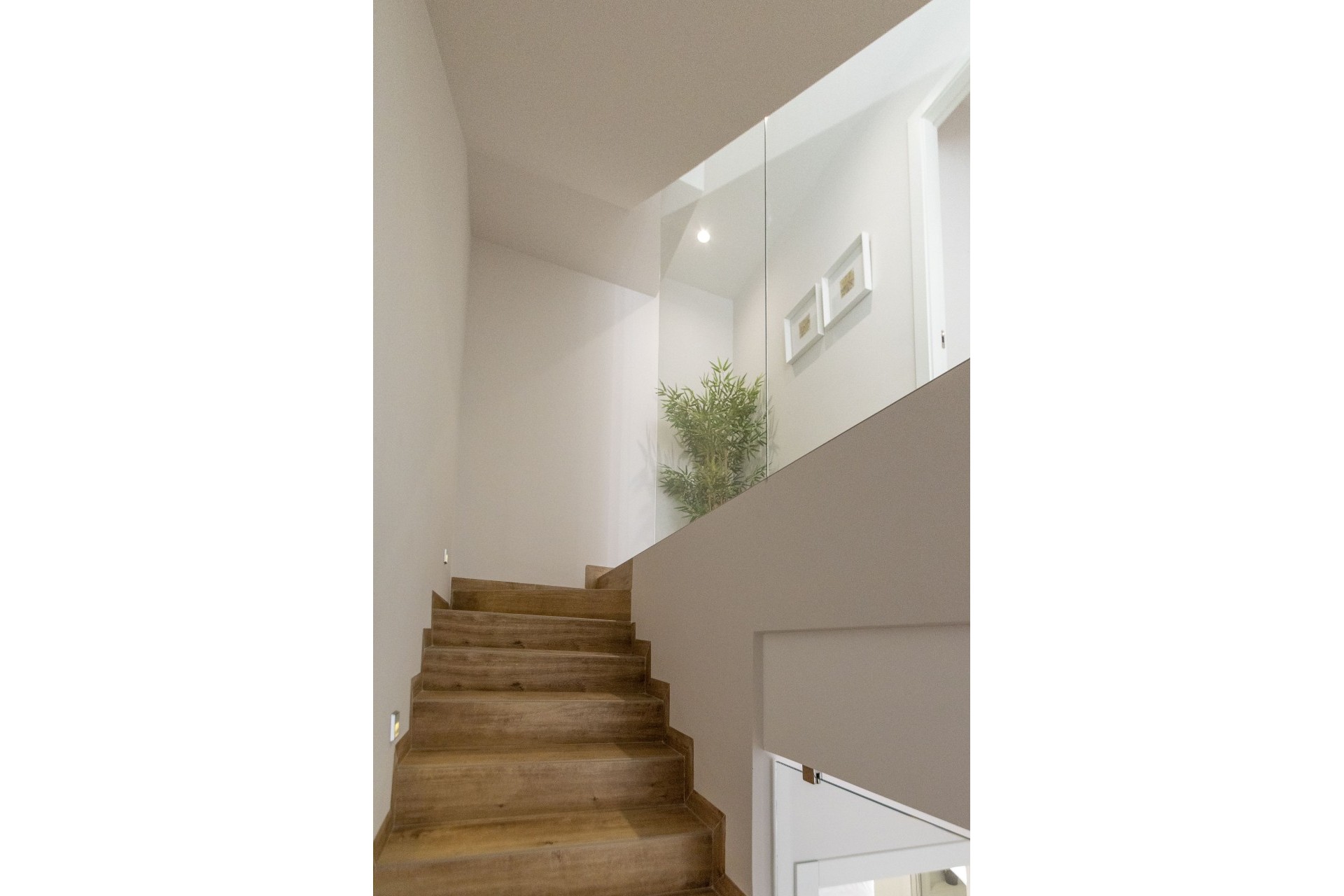 Nouvelle construction - detached - Pilar de la Horadada