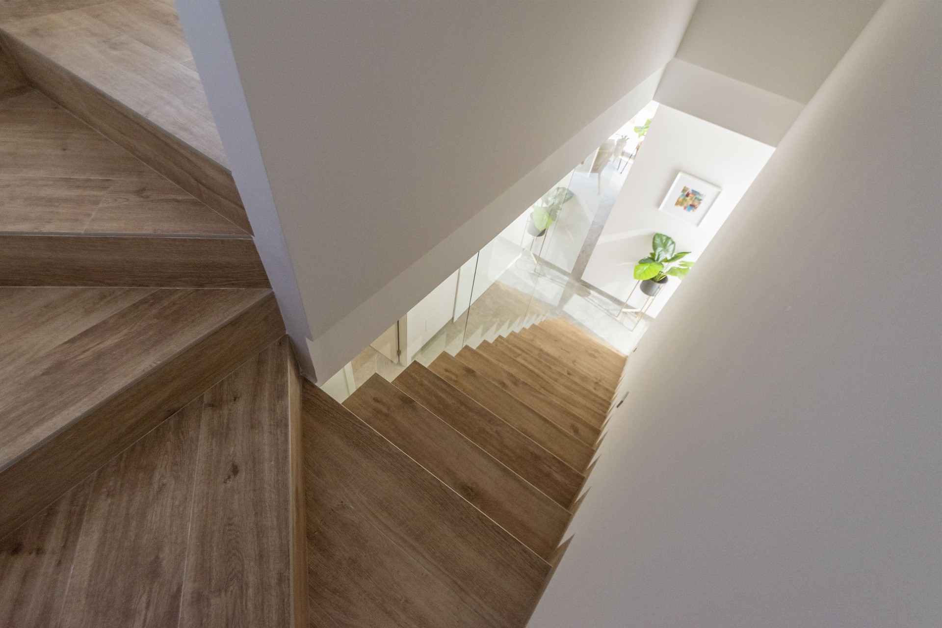 Nouvelle construction - detached - Pilar de la Horadada