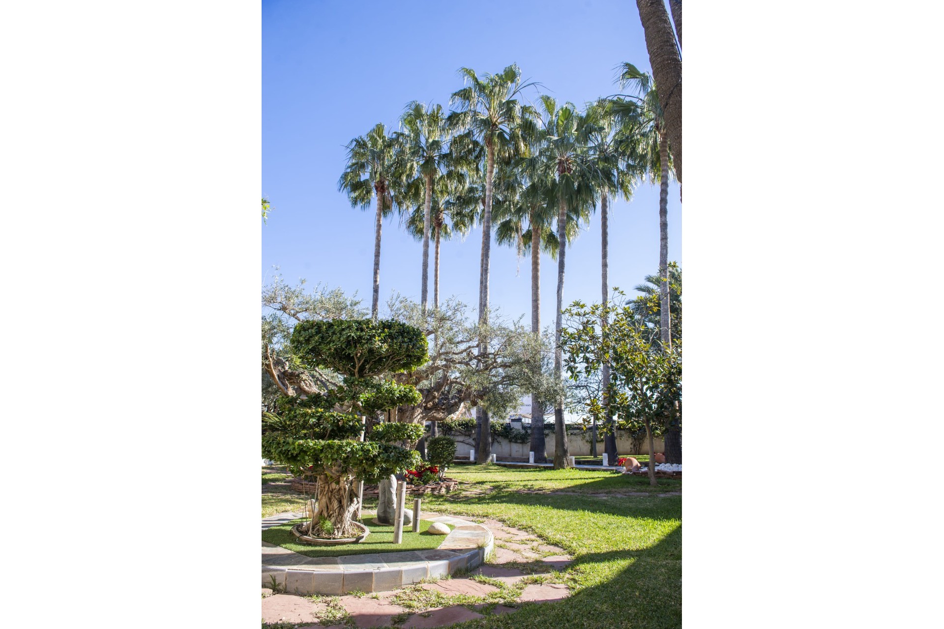 Nouvelle construction - Villa - San Pedro del Pinatar
