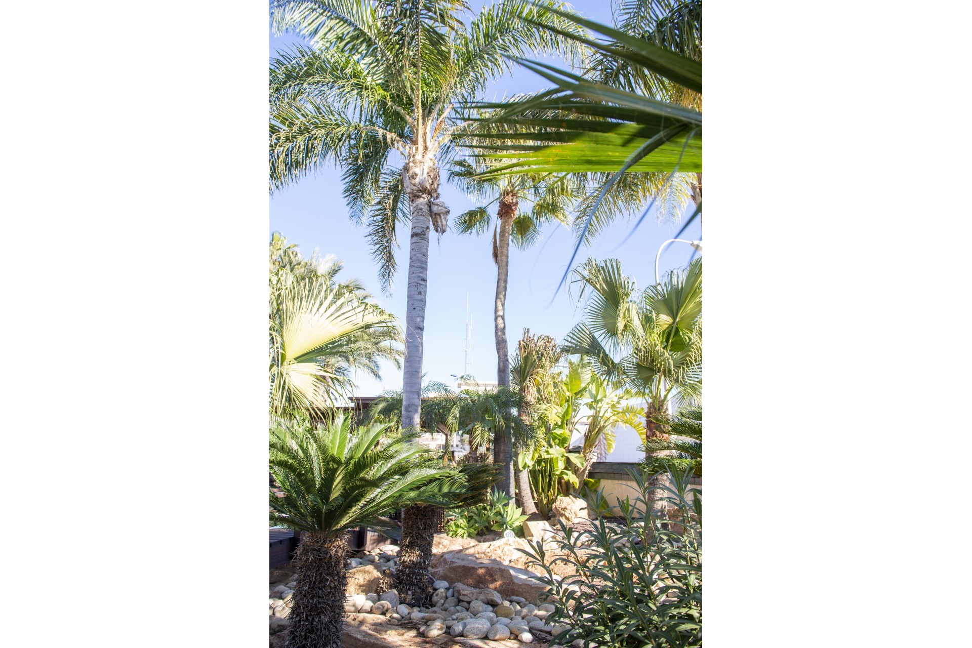 Nouvelle construction - Villa - San Pedro del Pinatar