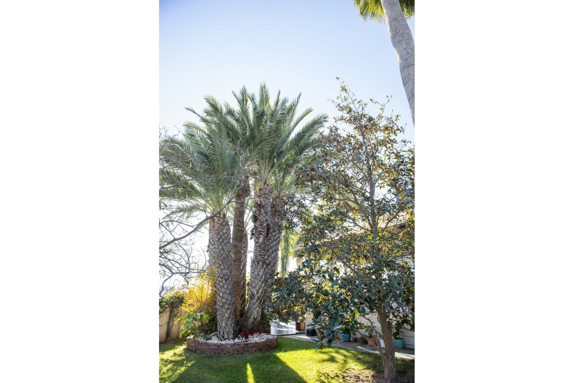 Nouvelle construction - Villa - San Pedro del Pinatar