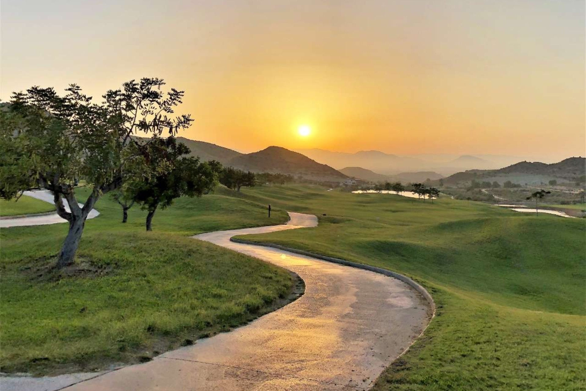 Новое здание - apartment - Monforte del Cid - Font del Llop