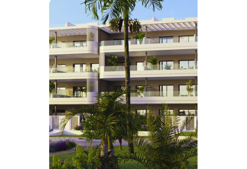 Новое здание - apartment - Torrevieja