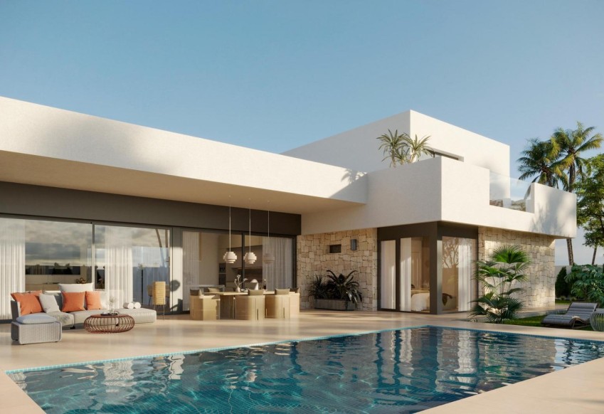 Новое здание - detached - Aspe