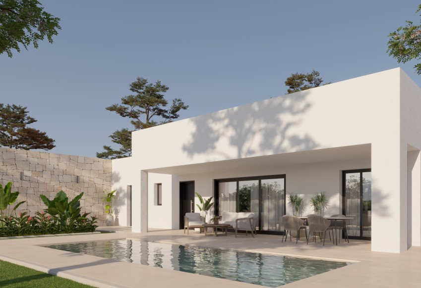 Новое здание - detached - La Romana