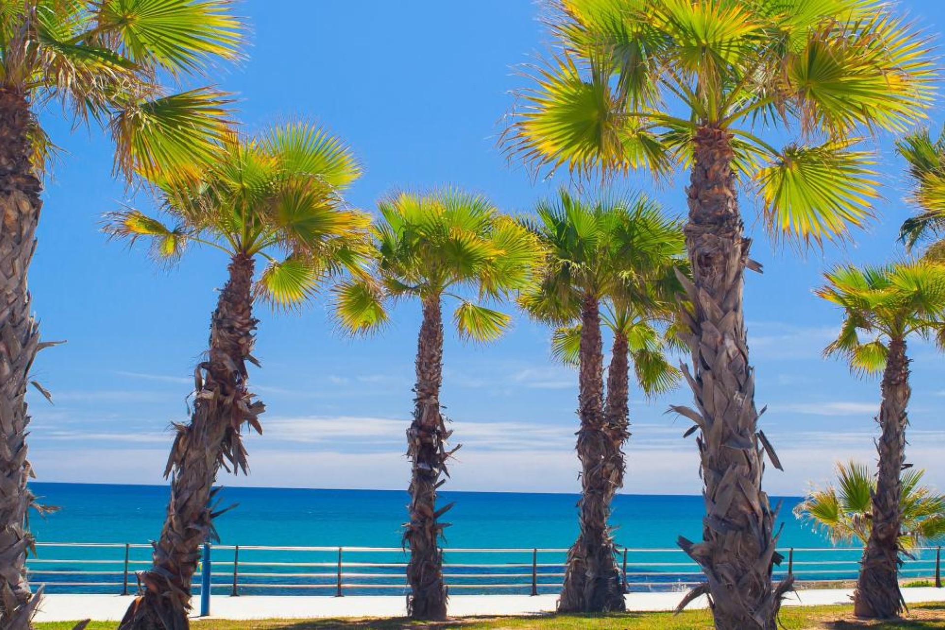 Новое здание - detached - Orihuela Costa