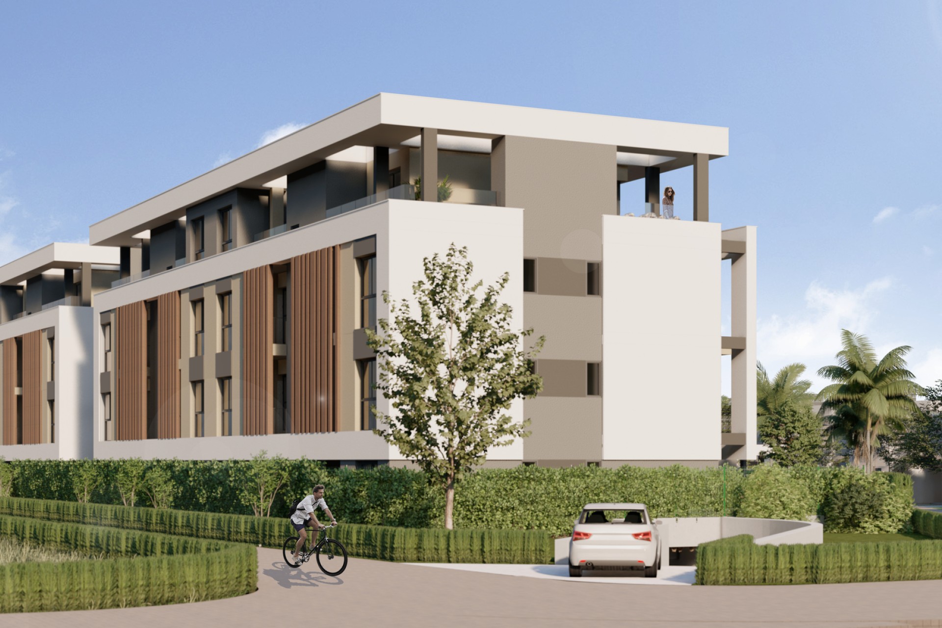 Новое здание - ground-floor - Torre-Pacheco