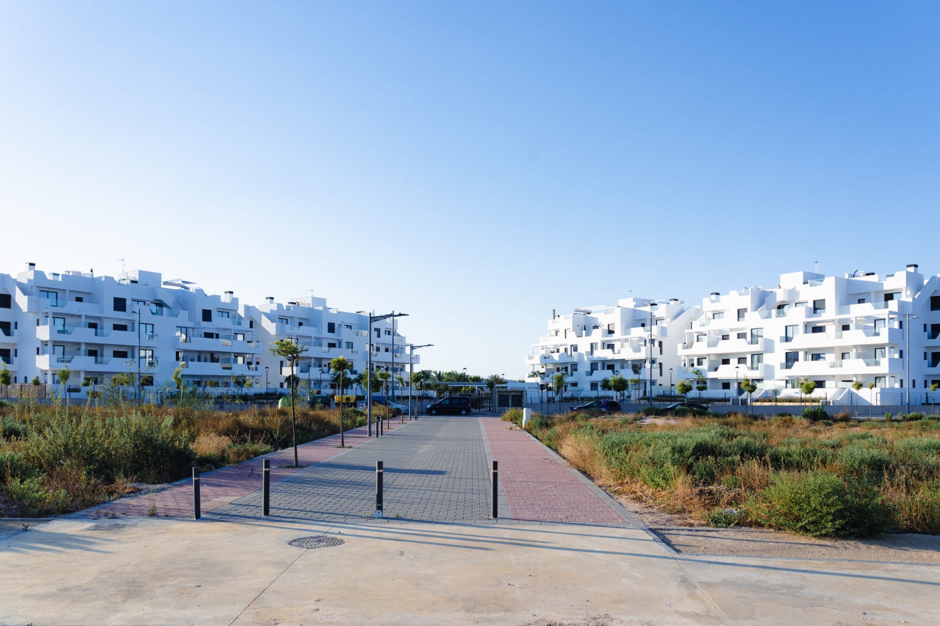 Новое здание - ground-floor - Torre-Pacheco