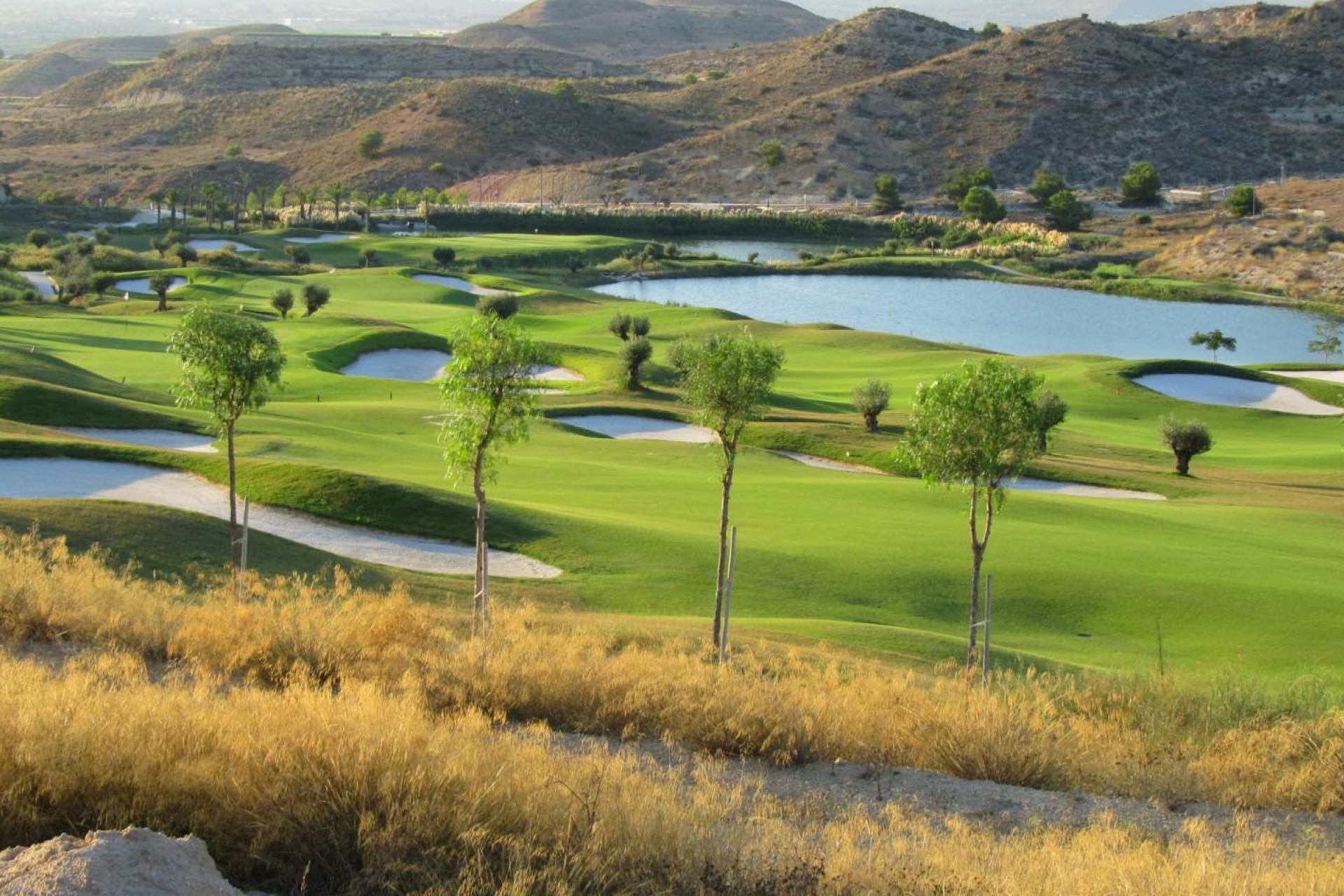 Новое здание - Semi-Detached Villa - Monforte del Cid - Font del Llop