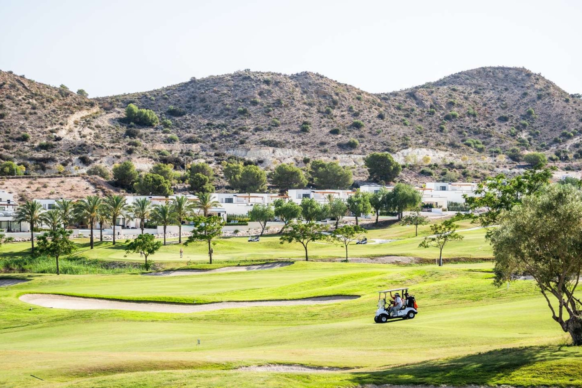 Новое здание - Semi-Detached Villa - Monforte del Cid - Font del Llop