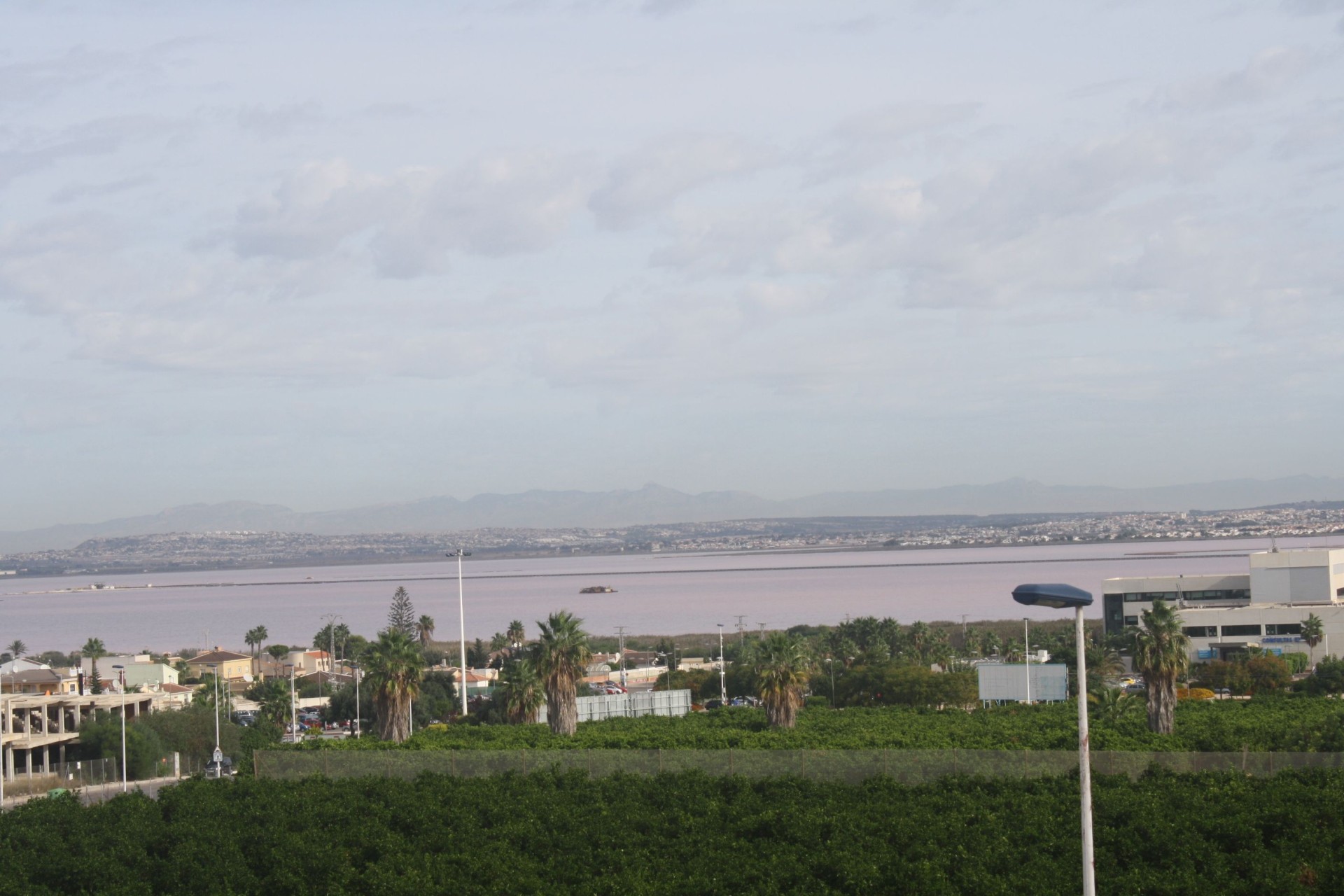 Новое здание - terraced - Torrevieja