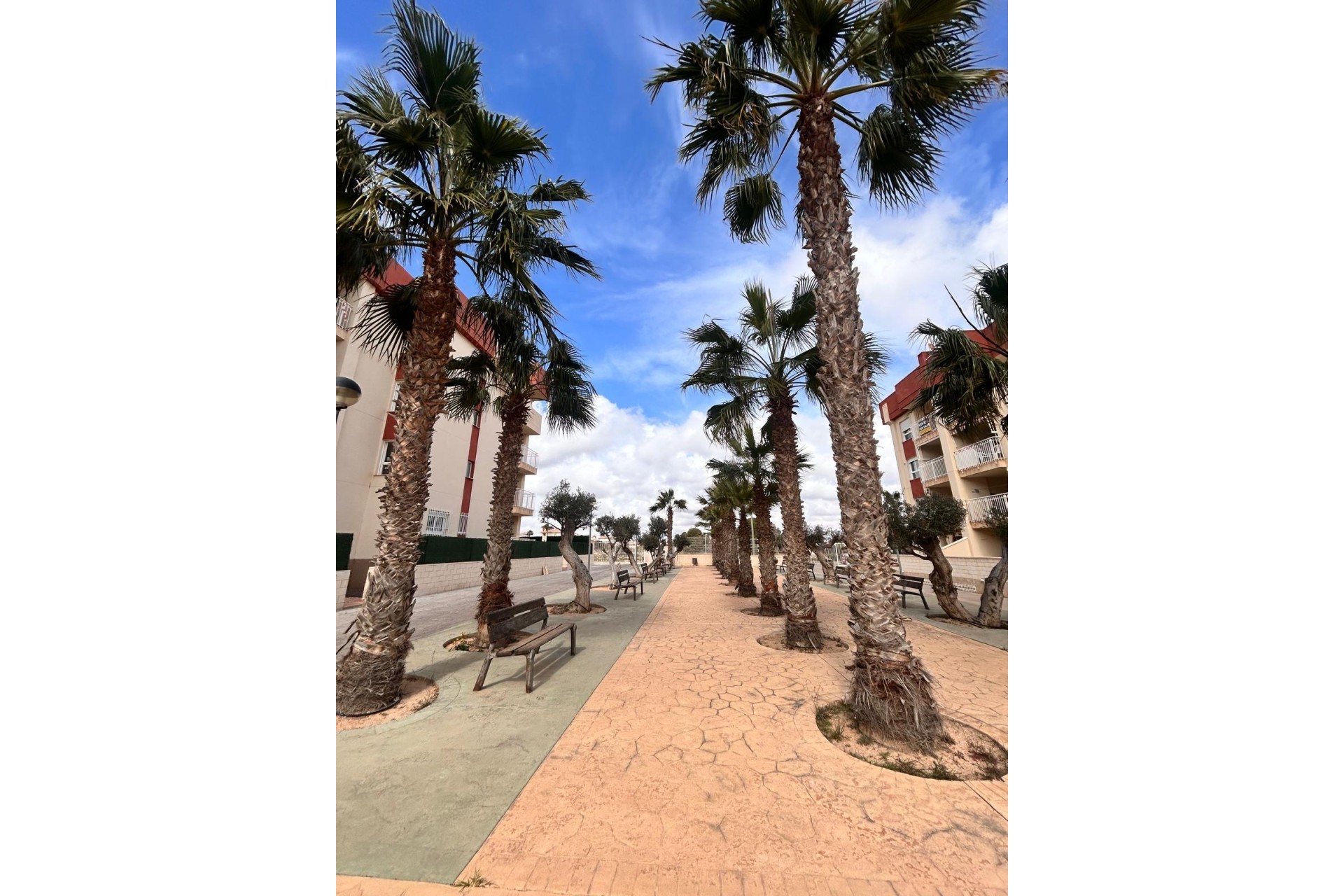 Nowy budynek - apartment - Orihuela