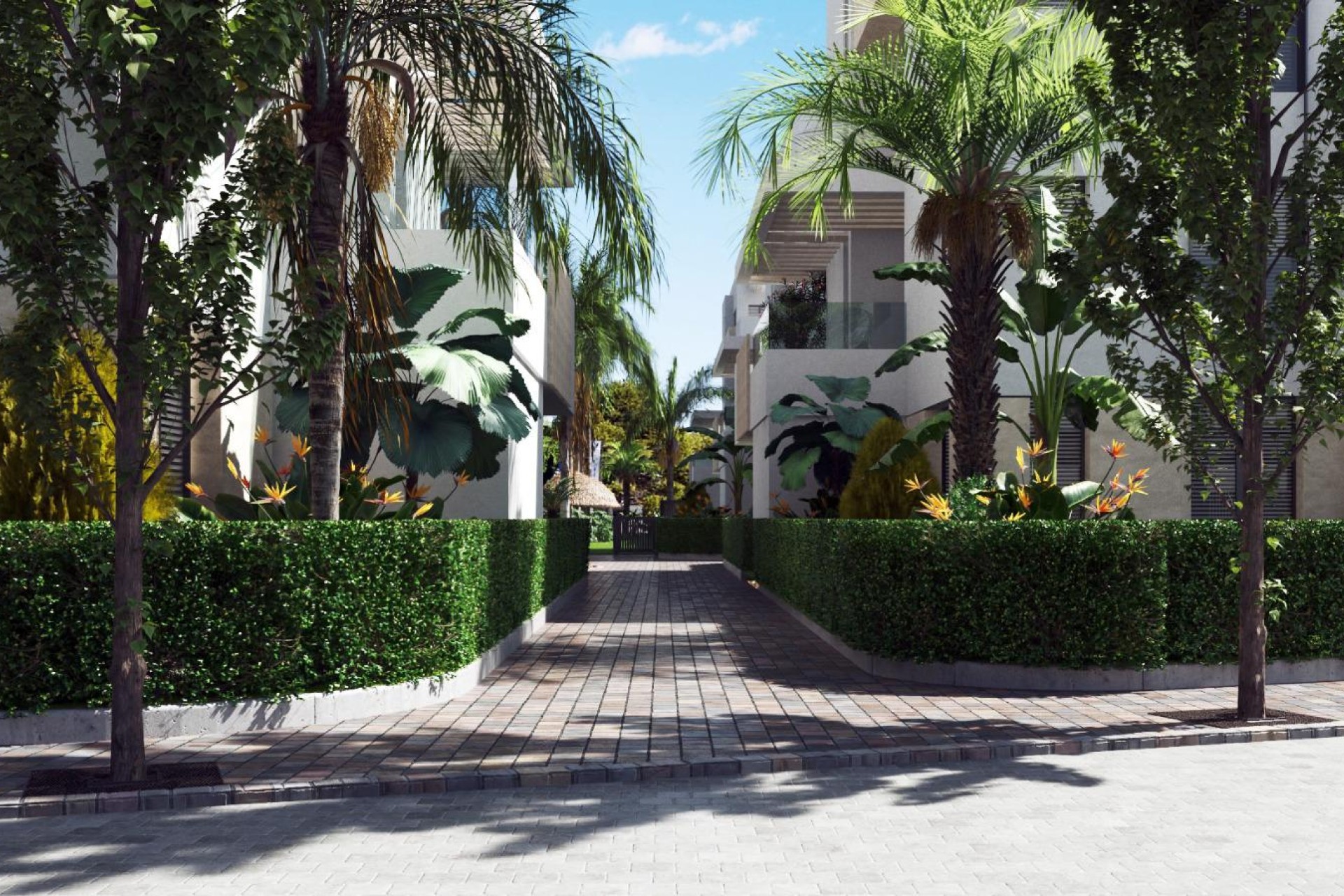 Nowy budynek - apartment - Torre-Pacheco