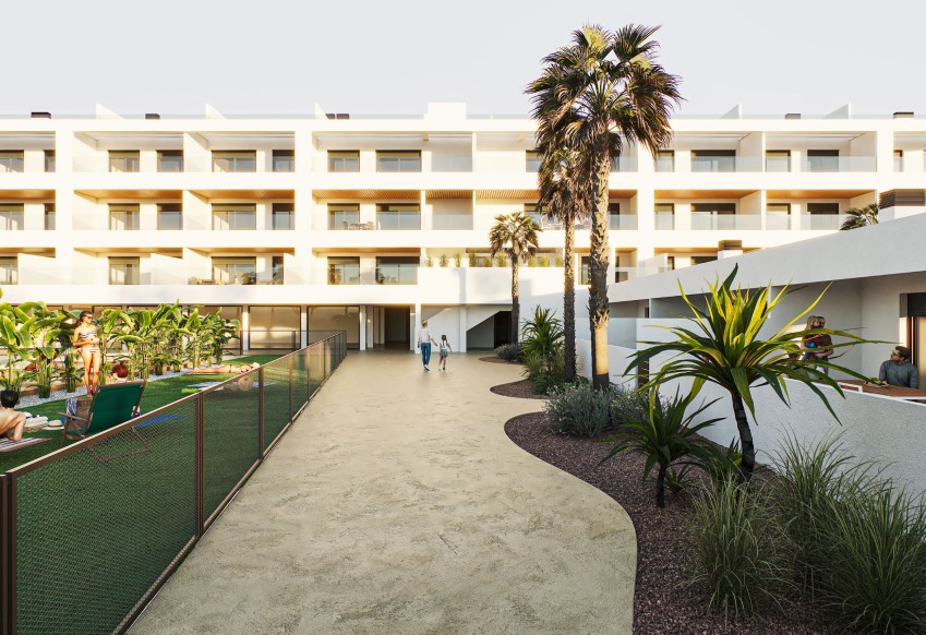 Nowy budynek - Daszek - Torrevieja