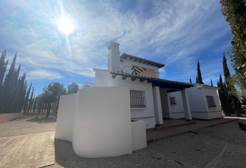 Nowy budynek - detached - Fuente Alamo
