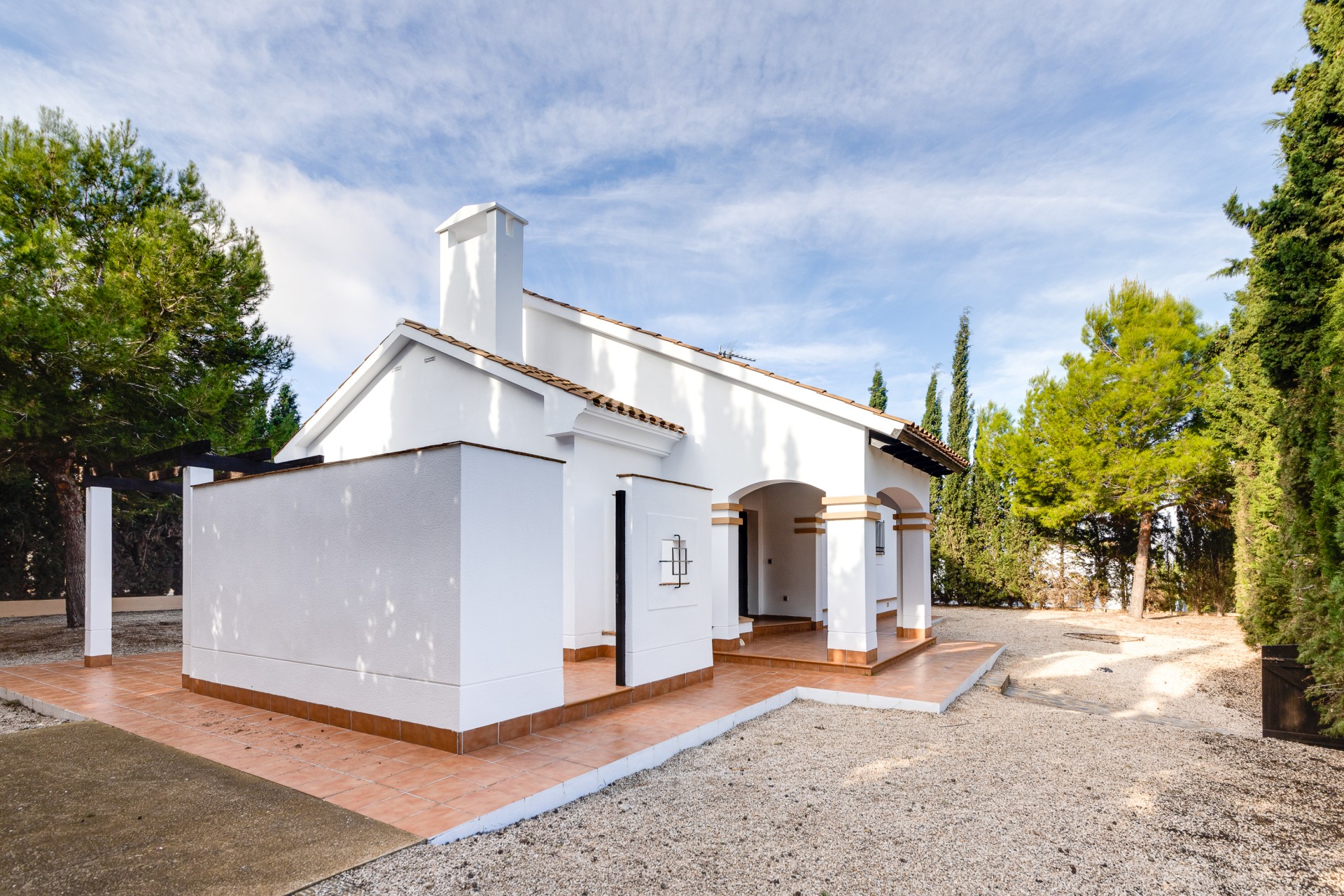 Nowy budynek - detached - Fuente Alamo