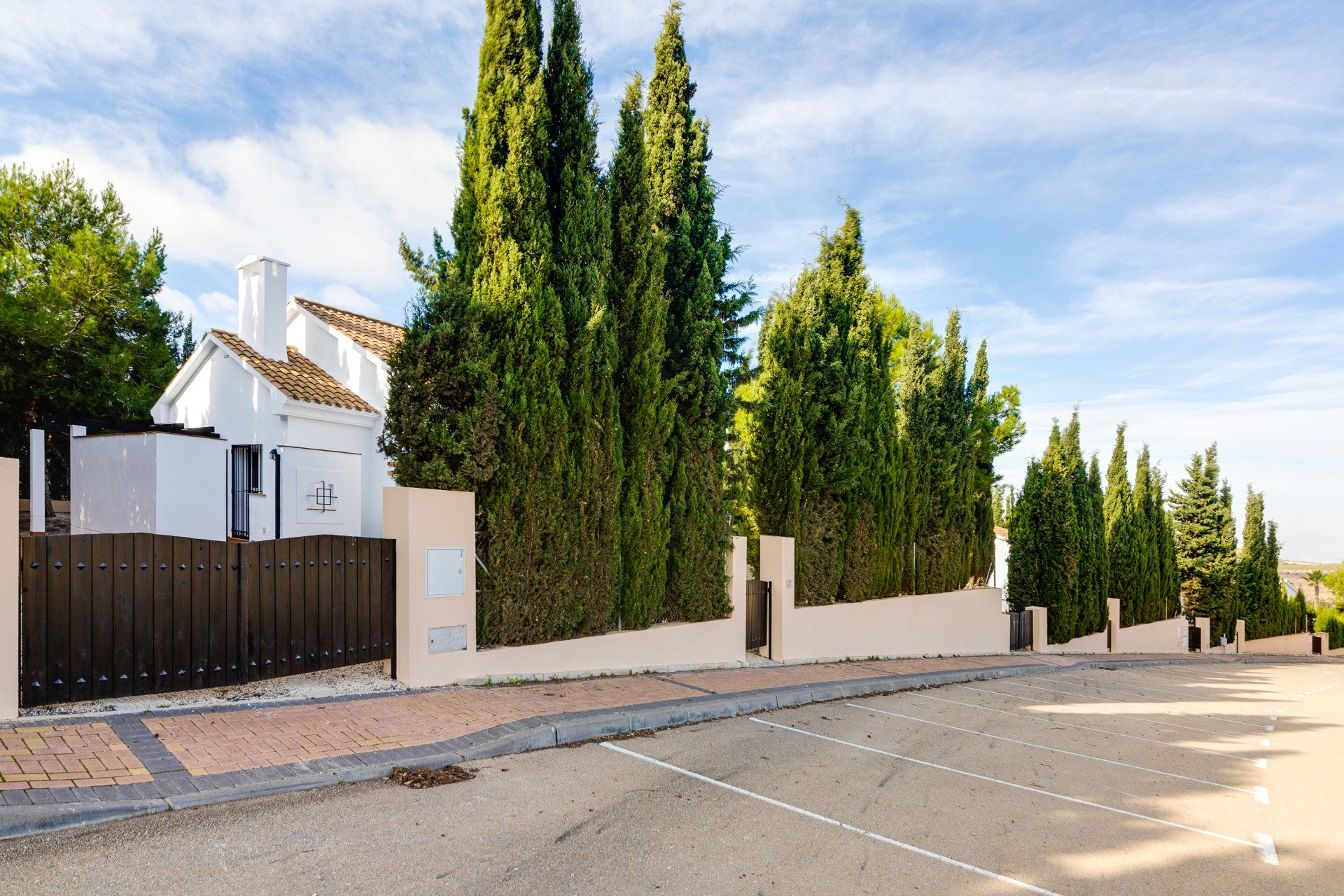 Nowy budynek - detached - Fuente Alamo