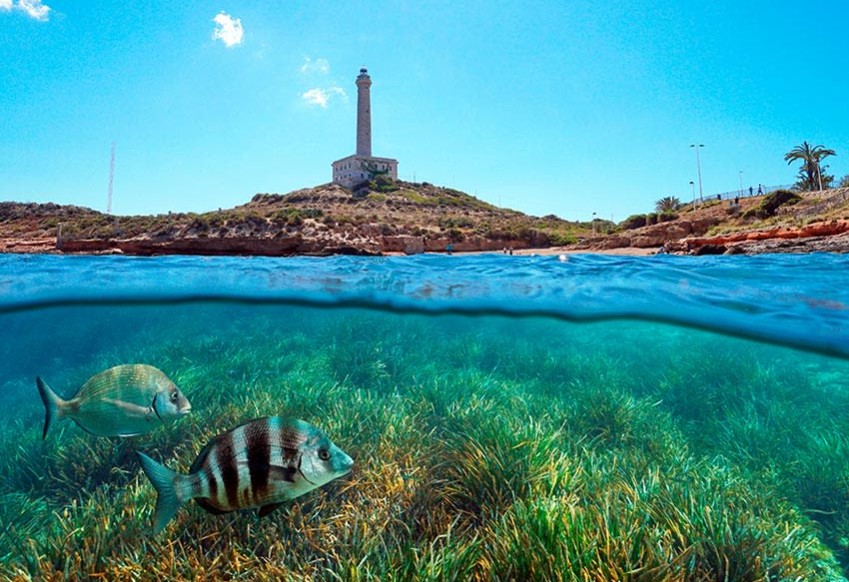 Nowy budynek - detached - Islas Menores