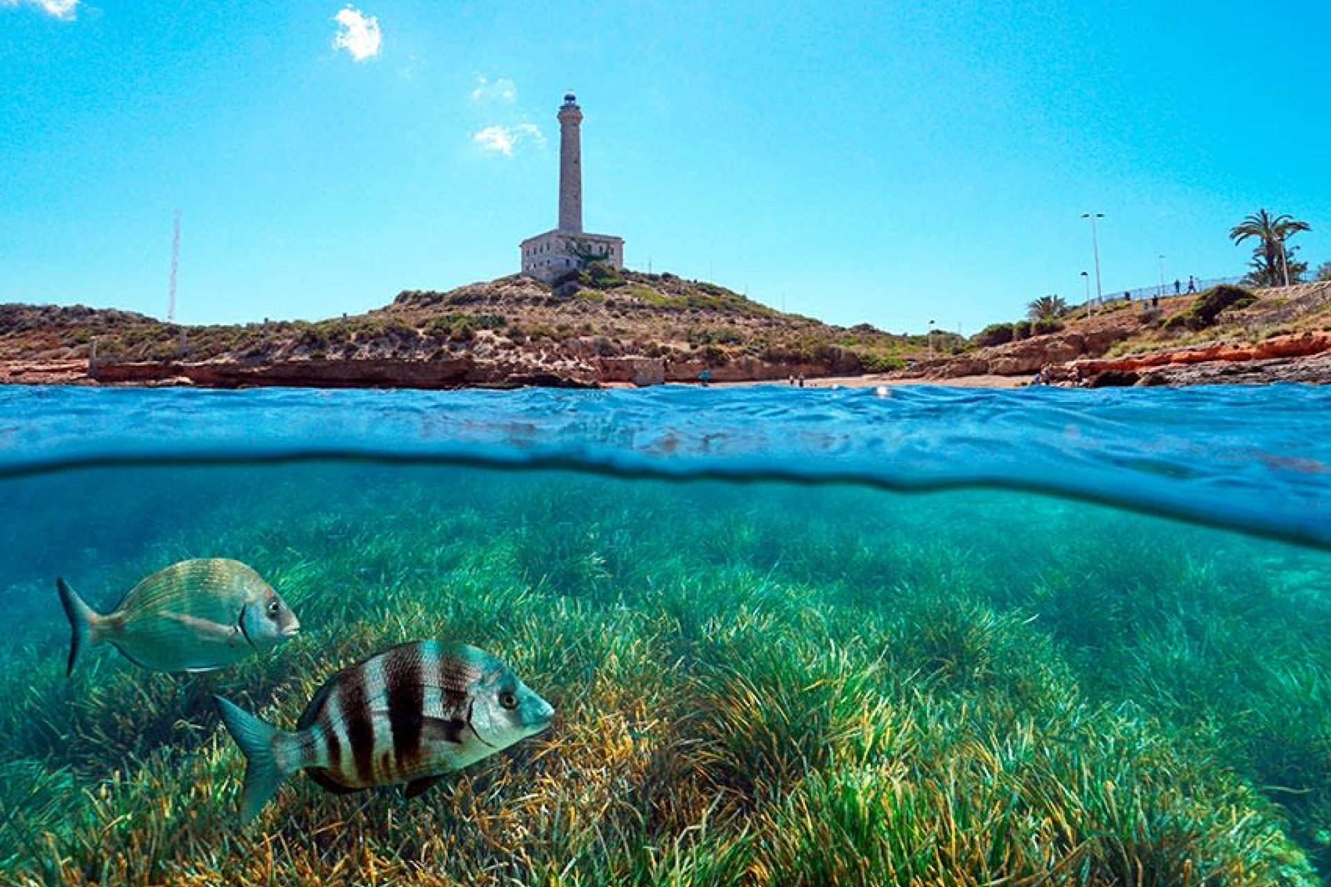 Nowy budynek - detached - Islas Menores