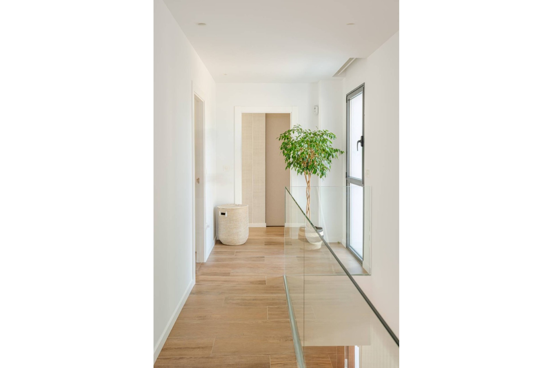 Nowy budynek - detached - Molina de Segura