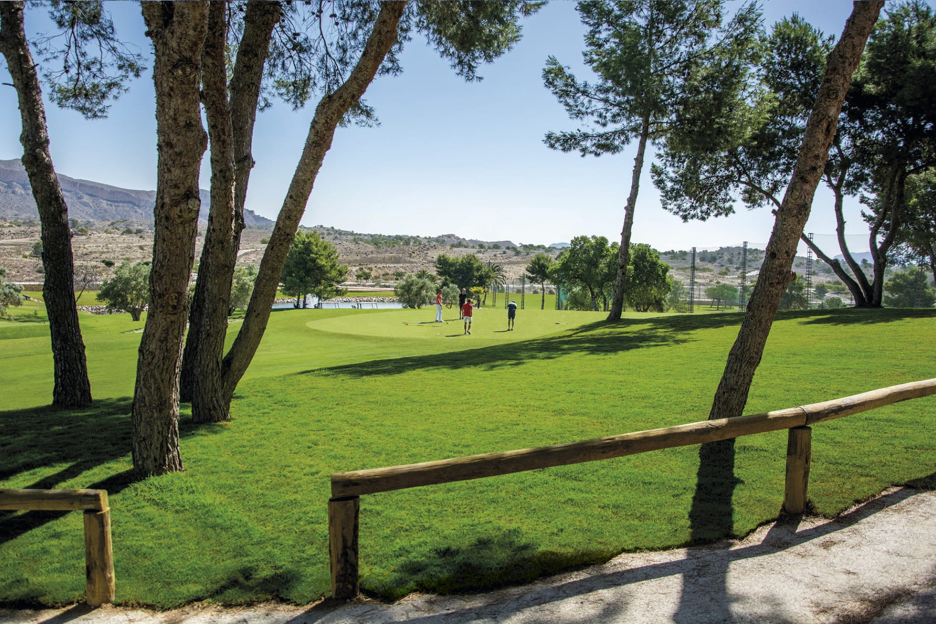 Nowy budynek - ground-floor - Monforte del Cid