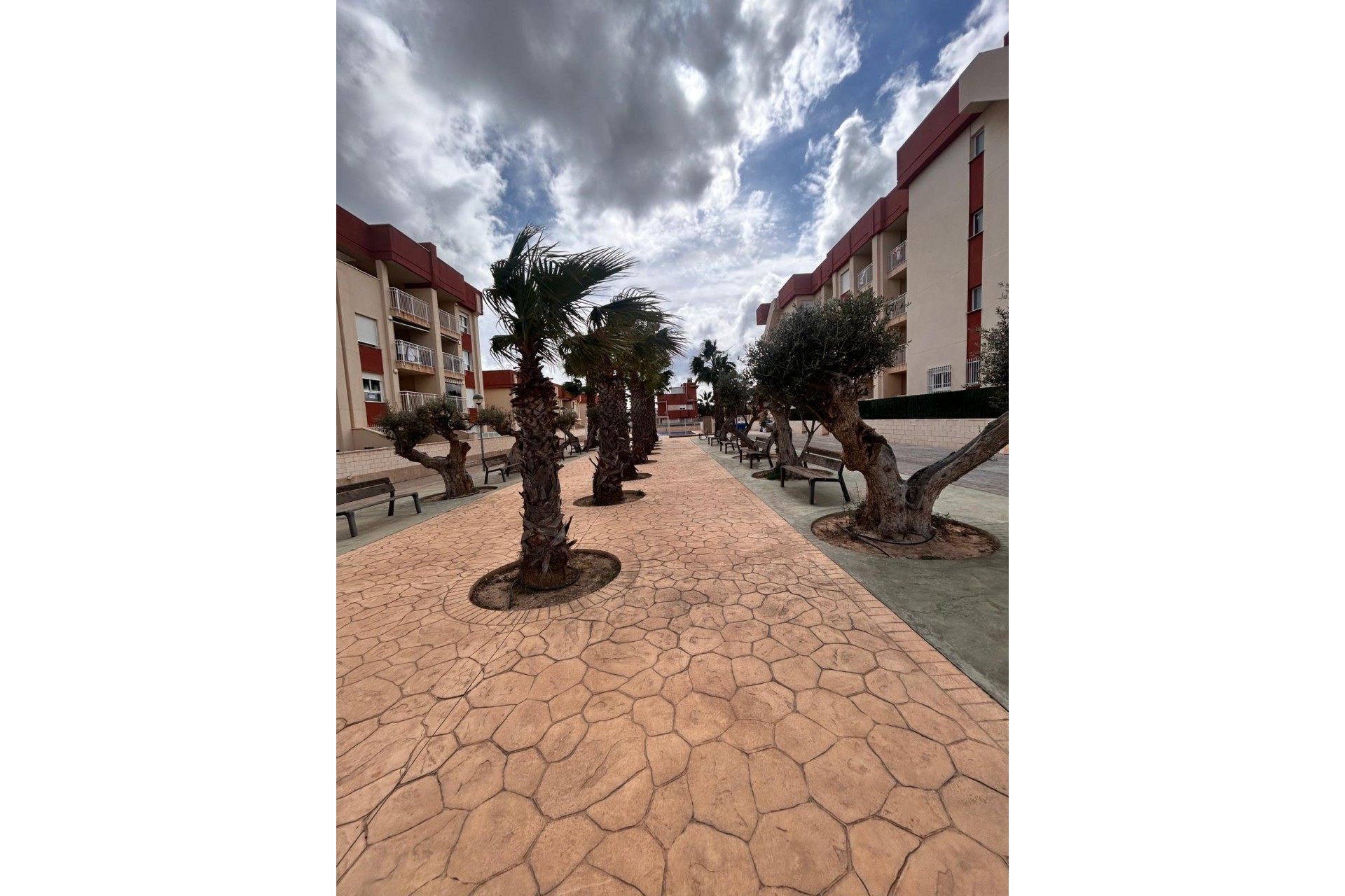 Nowy budynek - ground-floor - Orihuela Costa