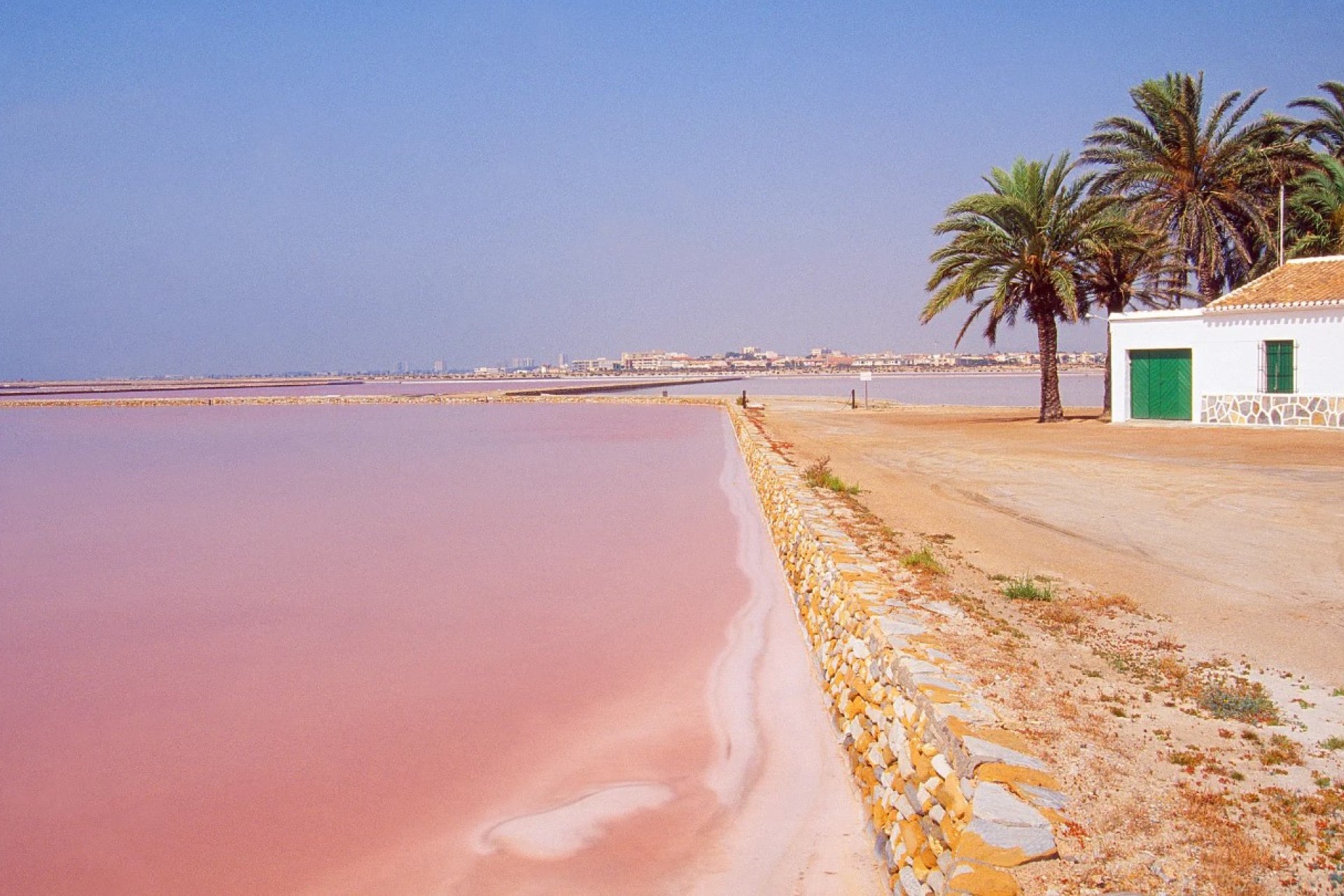 Nowy budynek - ground-floor - San Pedro del Pinatar