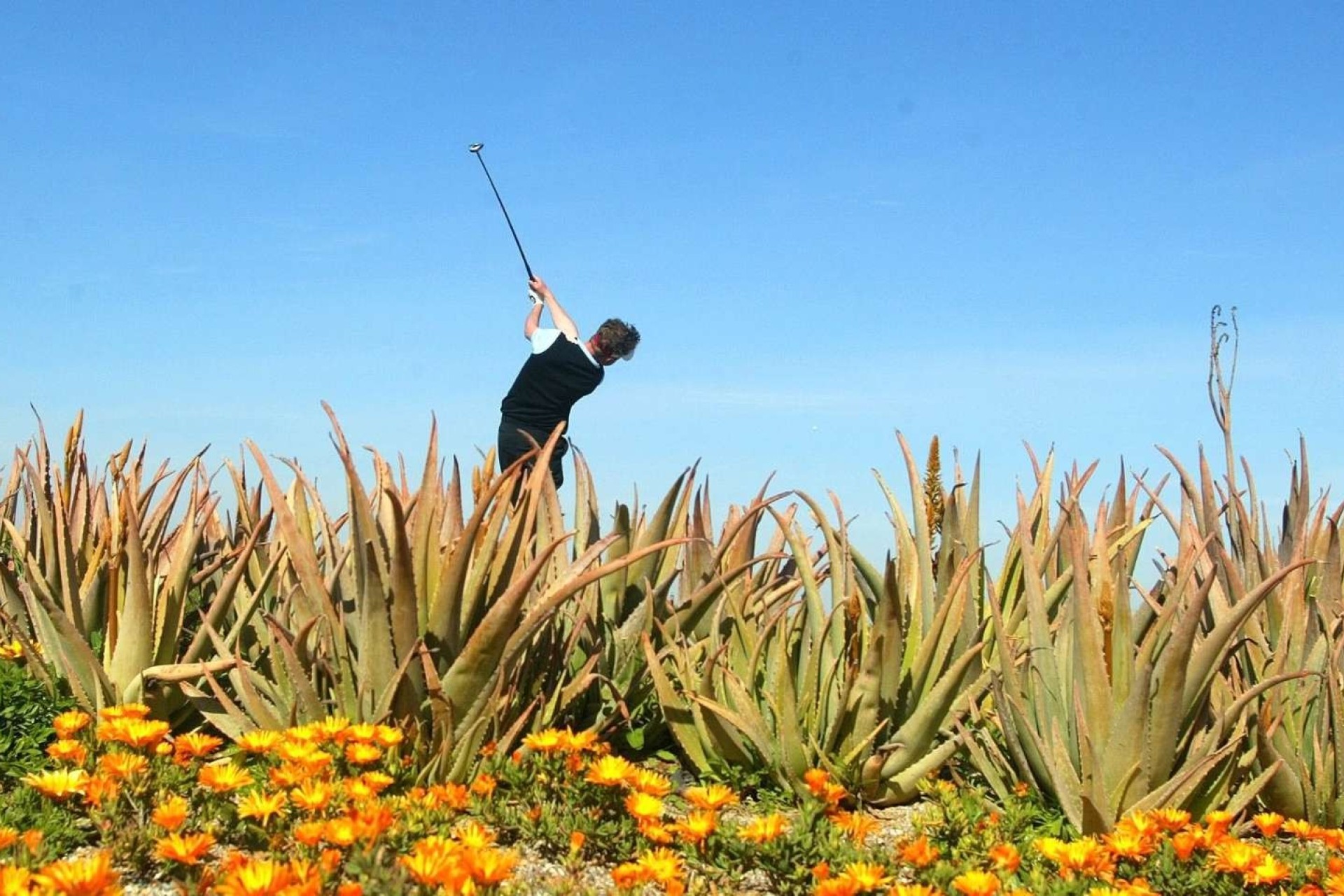 Nowy budynek - Villa - Cuevas del Almanzora - Villaricos
