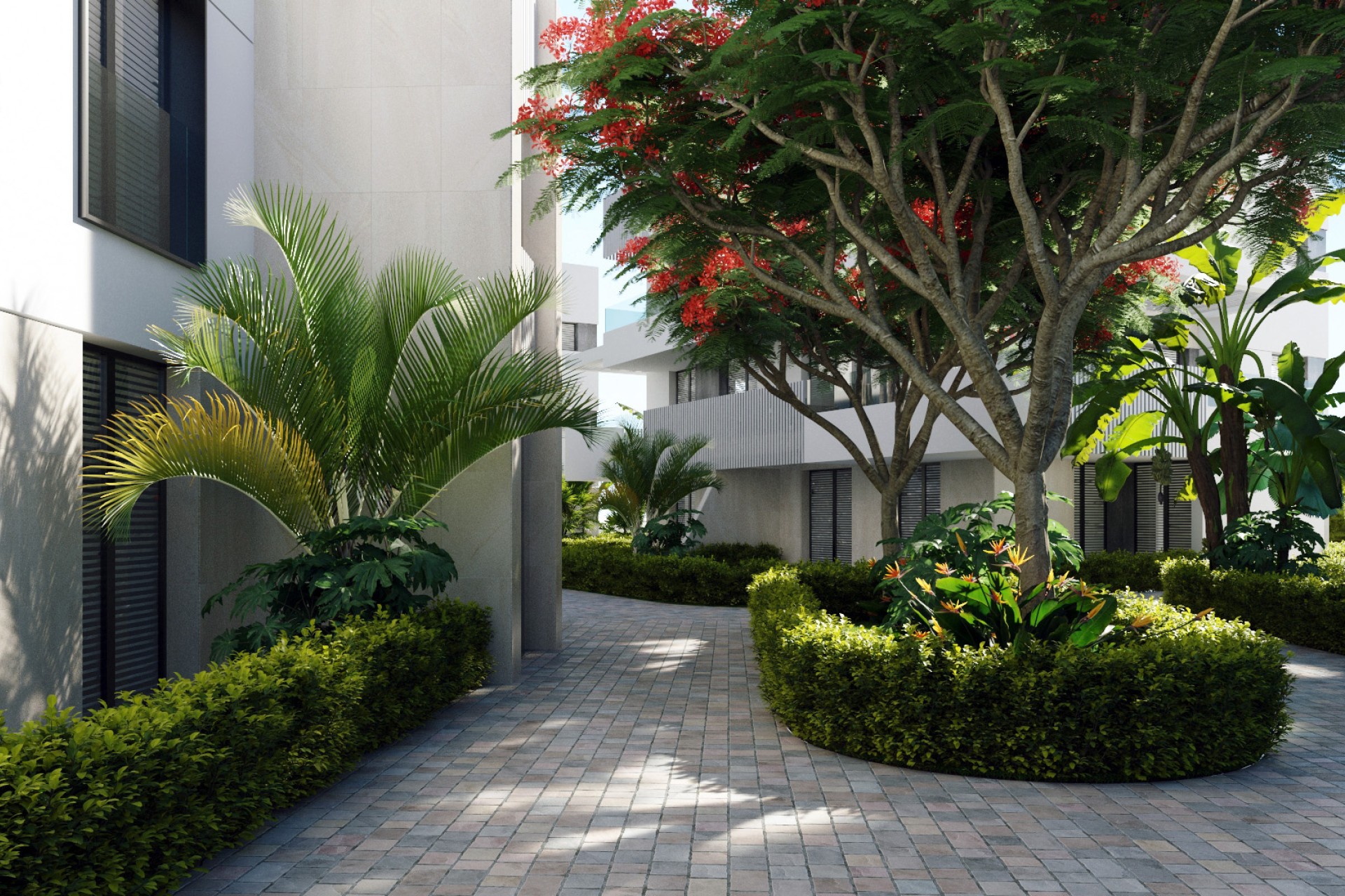 Nybygg - apartment - Torre-Pacheco