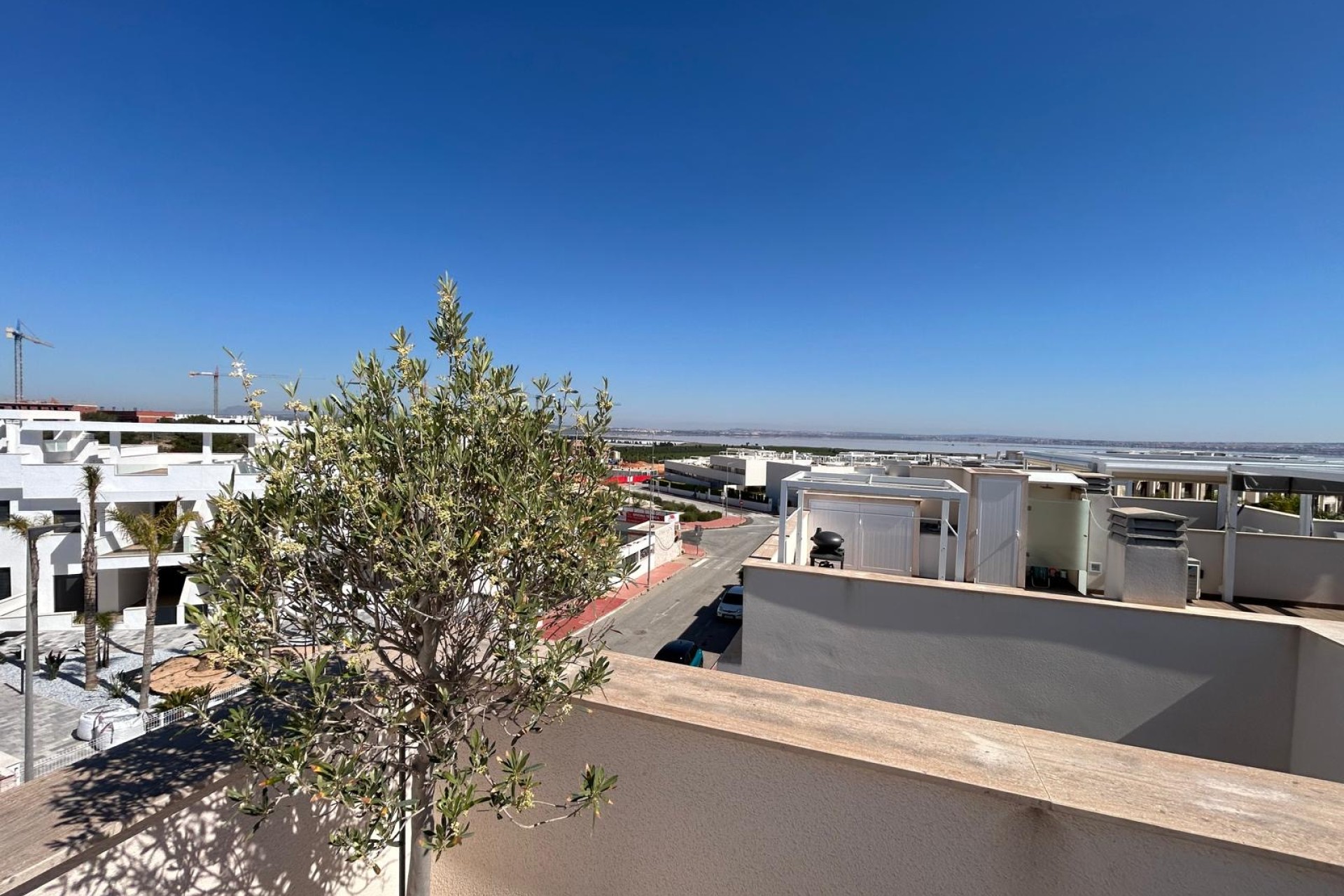 Nybygg - Toppleilighet - Torrevieja