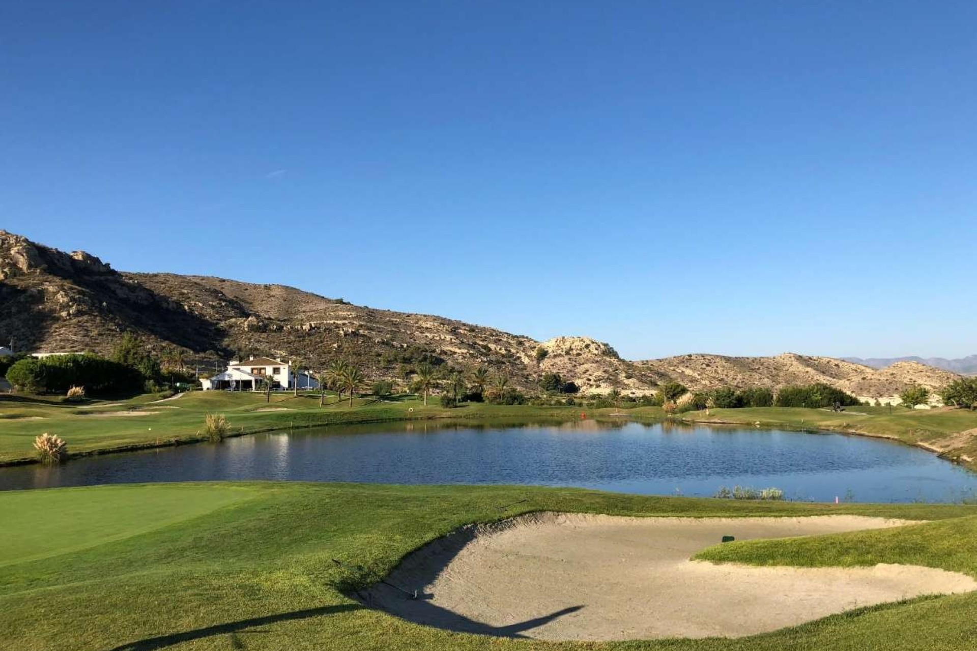 Nybyggnation - apartment - Monforte del Cid - Font del Llop