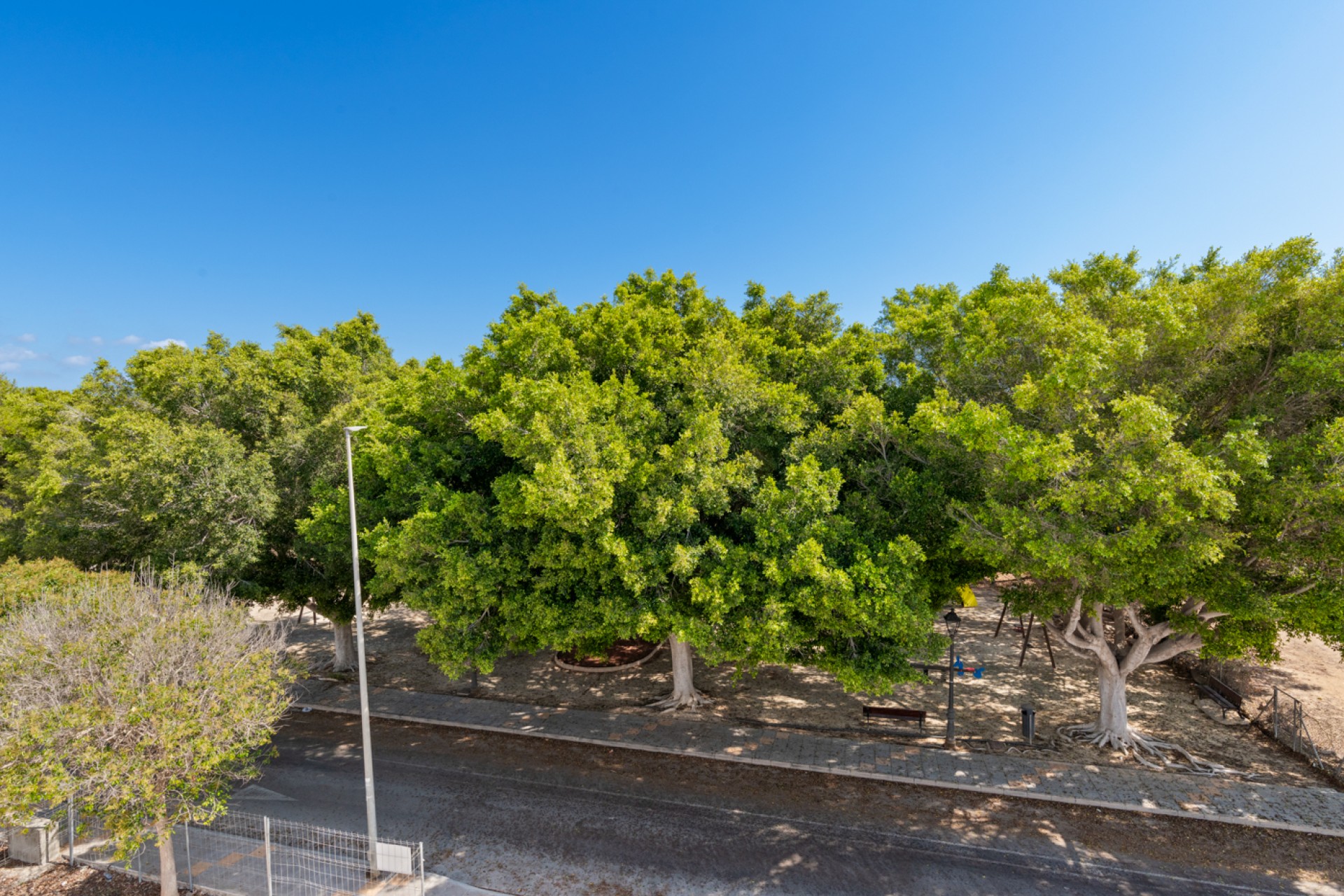 Nybyggnation - detached - Pilar de la Horadada