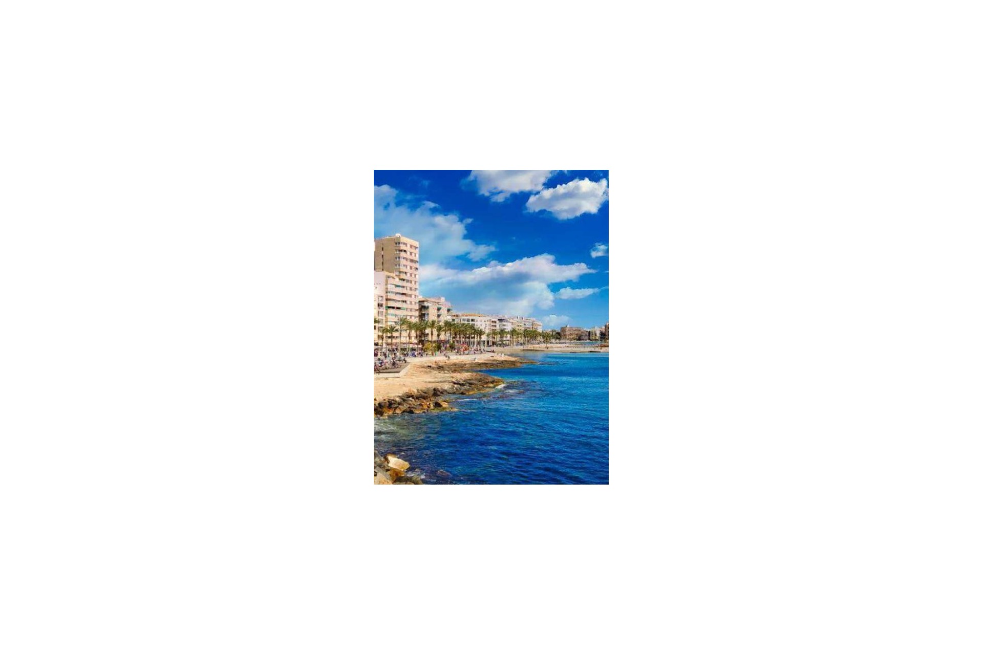 Obra nueva - apartment - Torrevieja