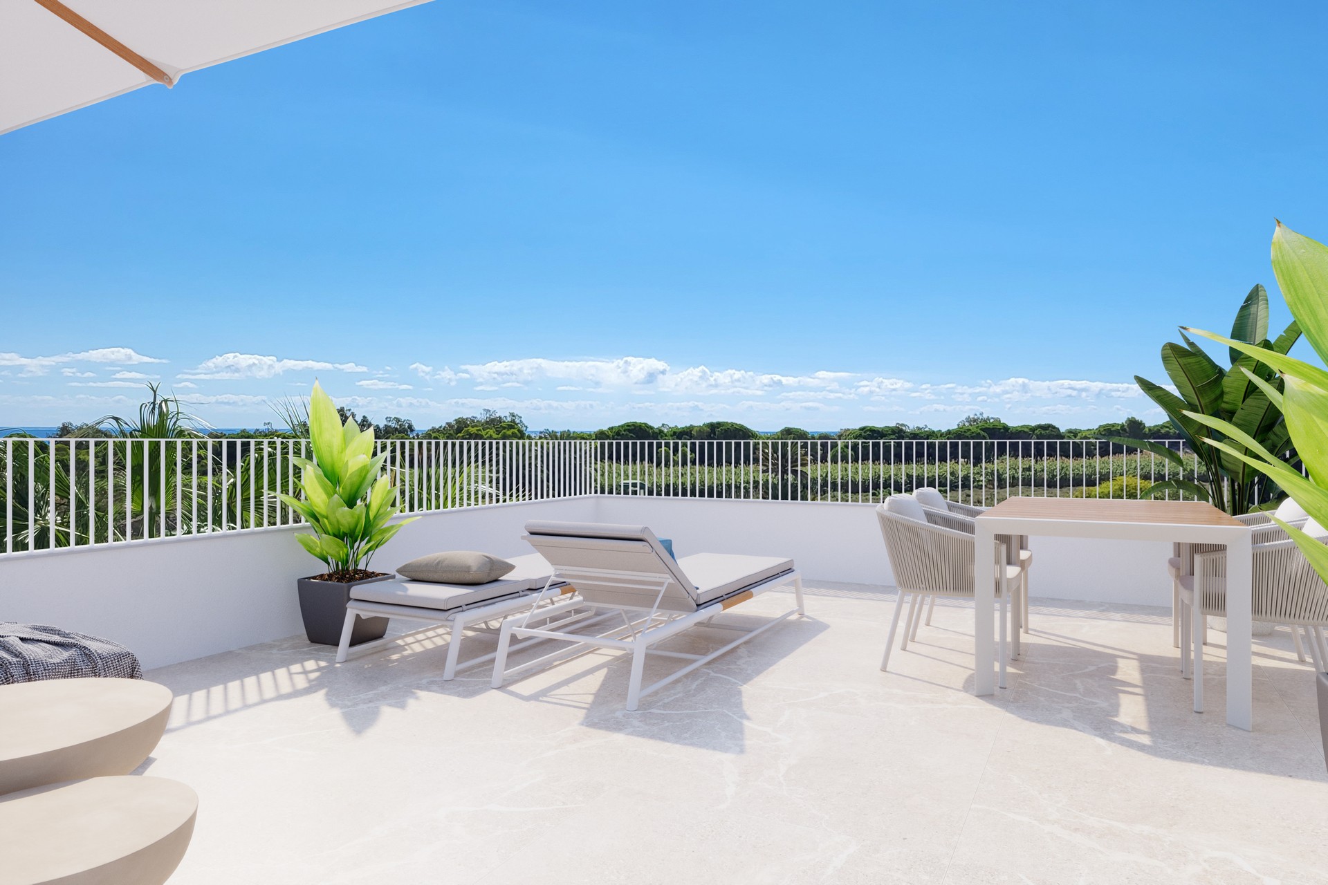 Obra nueva - detached - Elche
