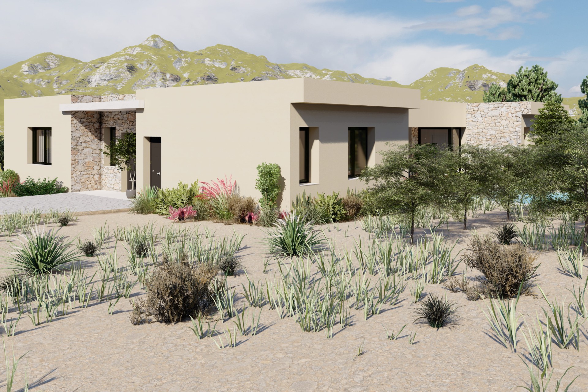 Obra nueva - detached - Yecla