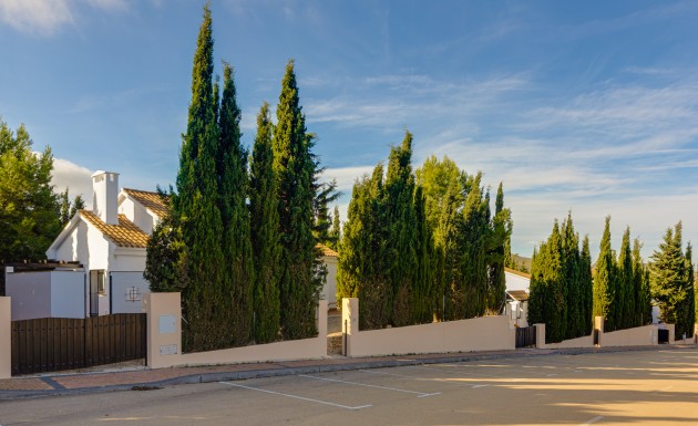 Nowy budynek - detached - Fuente Alamo