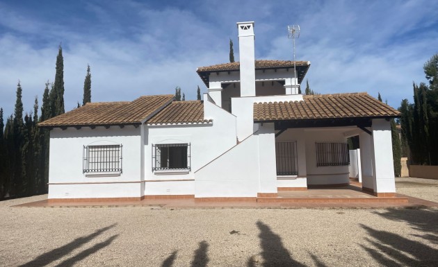 Nowy budynek - detached - Fuente Alamo